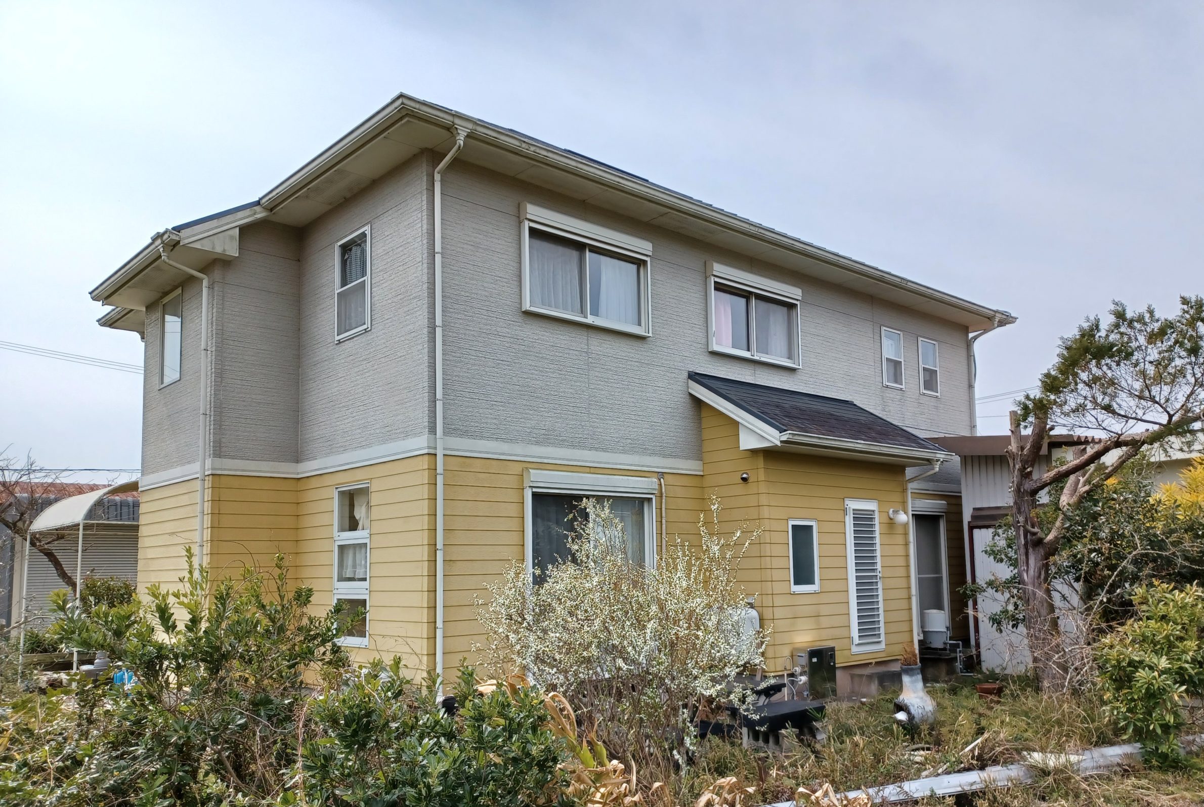 Before image
